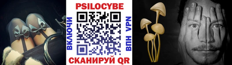 Псилоцибиновые грибы MAGIC MUSHROOMS  Купить где  Магас 