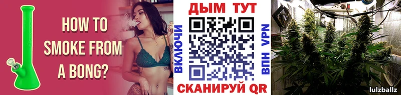 МАРИХУАНА Bruce Banner  Купить где  Магас 